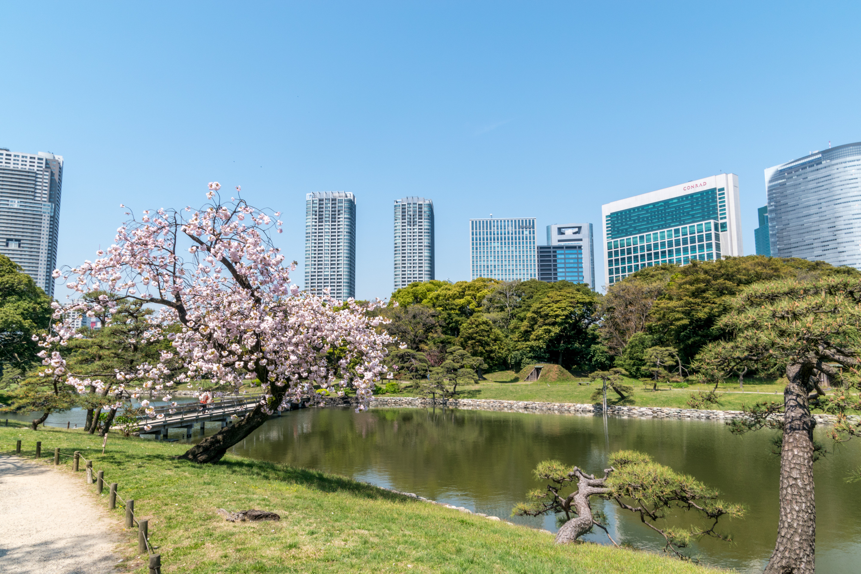 Discovering Japan